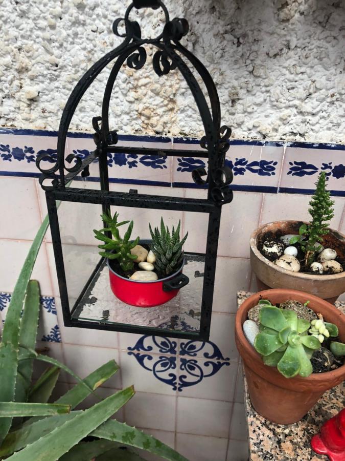 Ferienwohnung Alhambra En El Sacromonte Granada Exterior foto